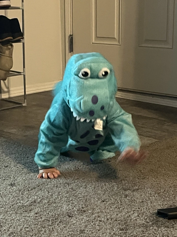 Fantasia de bebê dinossauro para 12 meses de idade - Imagem 2 de 3