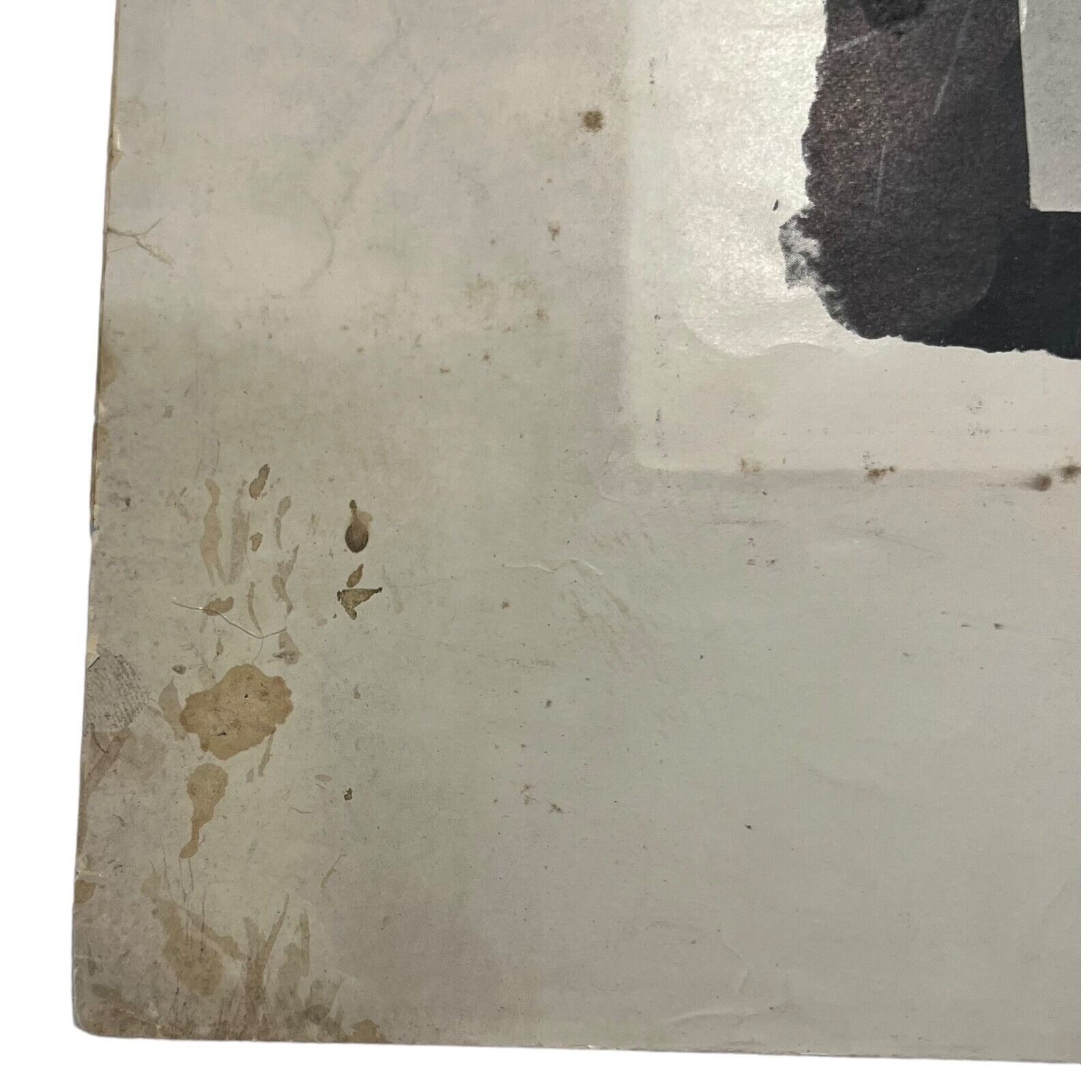 Foto 10 di 15