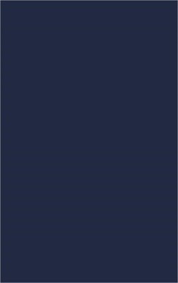 Insight-Imagination: The Emancipation of Thought and the Modern World (Hardback