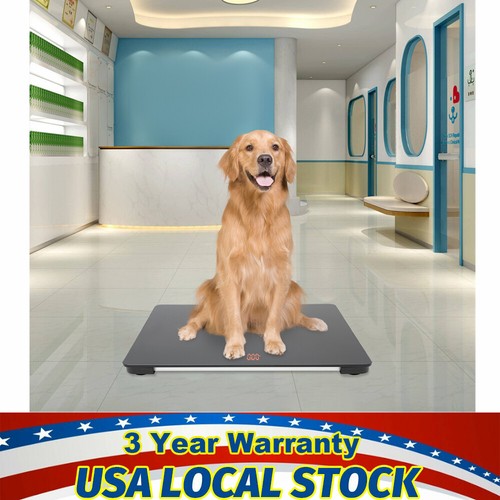 Pet Store Hospital Scale Large Dog Weighing Scale 100KG LCD Scale High Precision