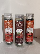 3 Packs Scentsicles Scent Sticks 2 Spiced Pine Cone Cinnamon 18 Ornaments Hooks