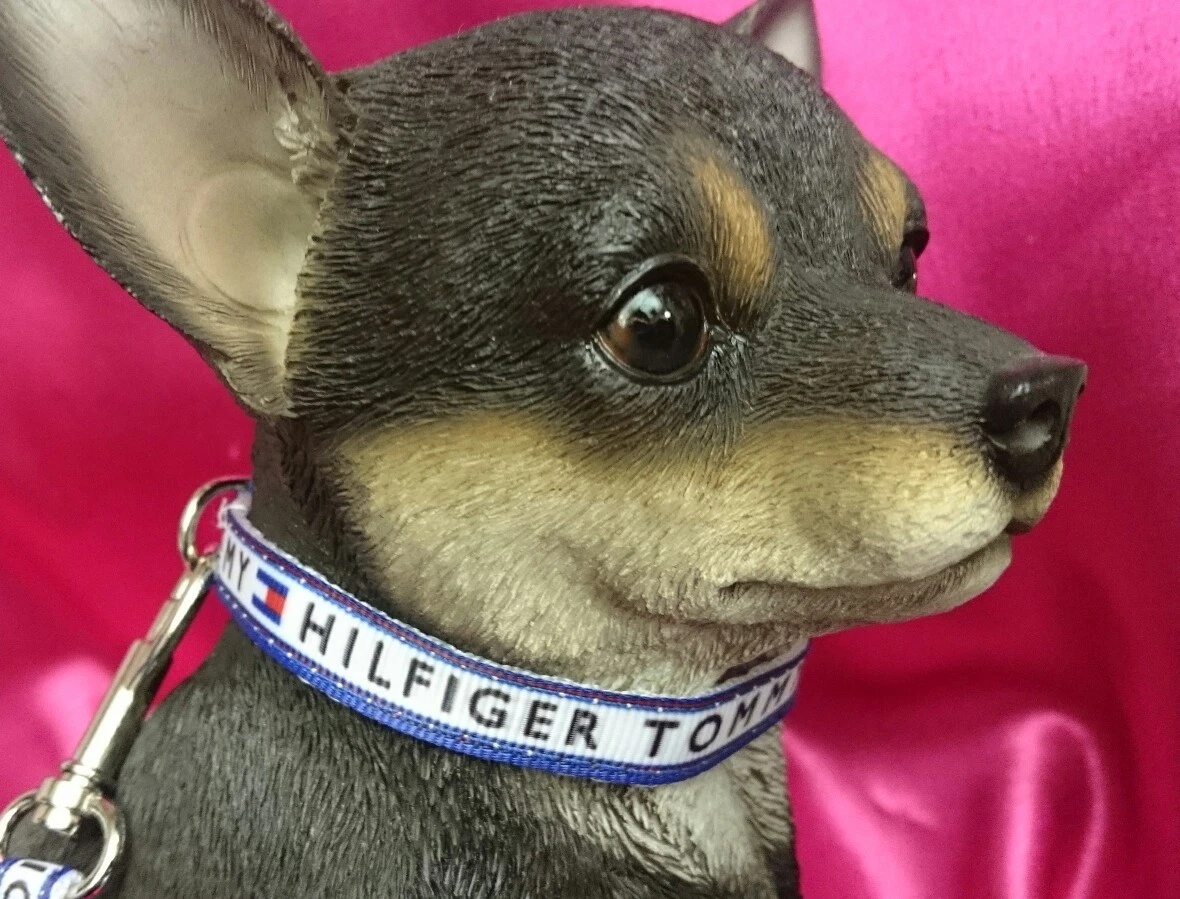 Best collar for chihuahua cheap