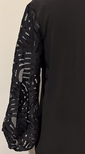 EVA VARRO Women’s Size Medium 3/4 Puff Lace Sheer Sleeves MIDI Lined Dress NWT - Picture 10 of 12