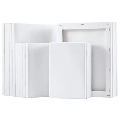 Blank Artist Canvas Art Board Plain Painting Stretched Framed White Large Small