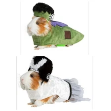 Frankenstein Bride Costume AND Frankenstein - 2! Thrills & Chills™ Small Animal