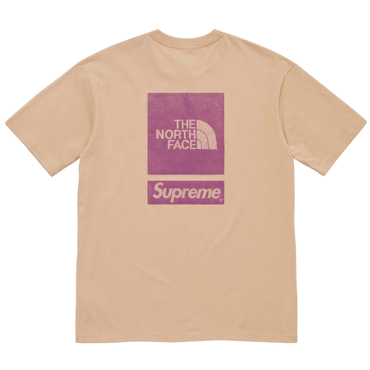 NWT Supreme The North Face Tan Purple Back Print Logo T-Shirt