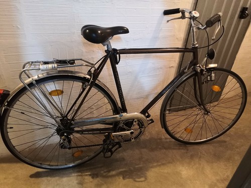 Bicicletta LEGNANO con cambio CAMPAGNOLO da uomo | eBay