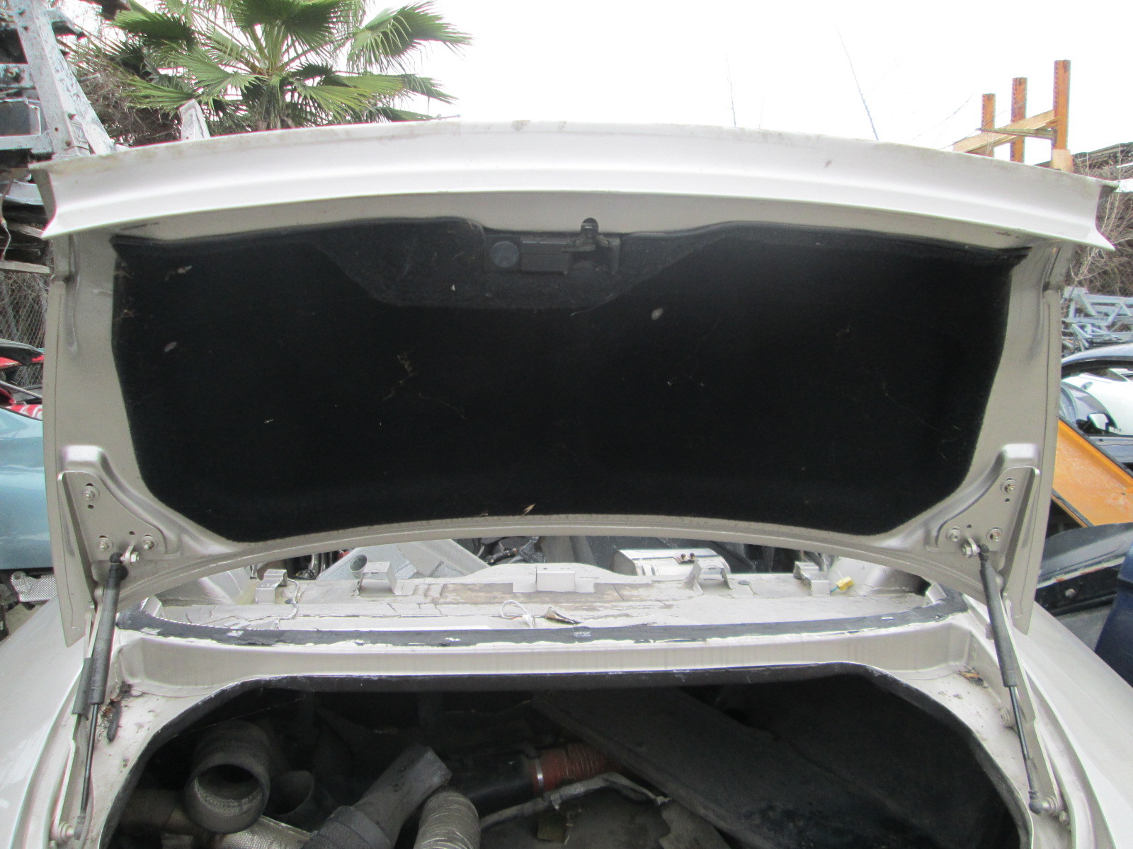 Ferrari 456 M Rear Trunk Lid Bonnet # 65645300