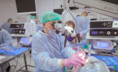 Full HD 1080P Portable Endoscope Camera System With Light Source for Laparoscopy - Picture 11 of 15