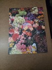 Lot of 9, 500 Piece Puzzles - 8 Sprinbok & 1 Cobble Hill — photo 6