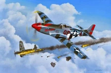 Man of War Fighter Metal Sign by Stan Stokes