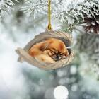 Personalized Pekingese Dog Sleeping Angel Wings Ornament Christmas Gift Decor