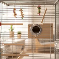 Multi-Functional Bird House for Budgies & Lovebirds - Spacious & Hygienic