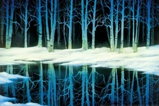 Bob Ross Snow Birch Cool Wall Art Print Poster 16x24