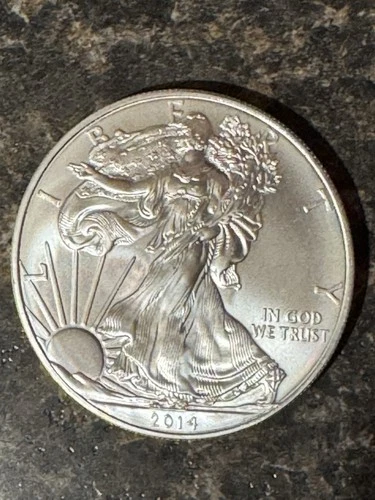 2014 American Silver Eagle US Mint Walking Liberty Coin 1oz .999 fine Uncirc.