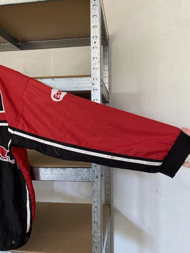 Red Bull Motul Michelin Alpinestars Formula Uno F1 Racing Jacket image 18