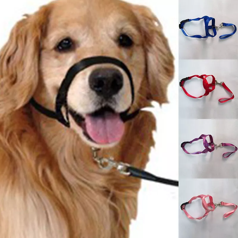 Dog snout cheap leash