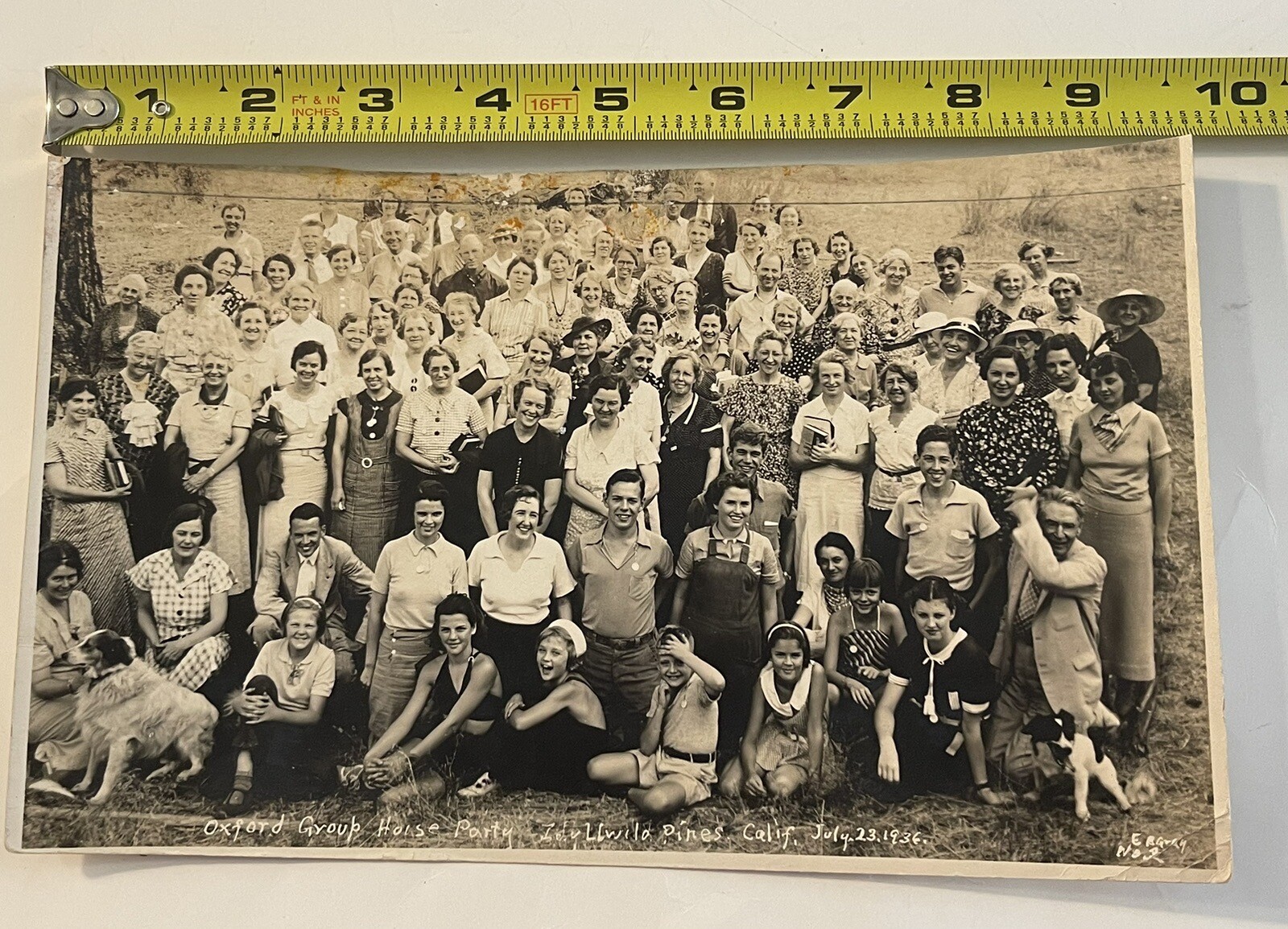 Bild 11 von 13