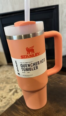 NEW Stanley Quencher H2.0 Flowstate Stainless Steel Tumbler 30oz