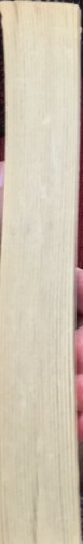 Mordenheim Ravenloft Chet Williamson 1994 Gothic Rare First Edition Free Postage - Picture 7 of 7