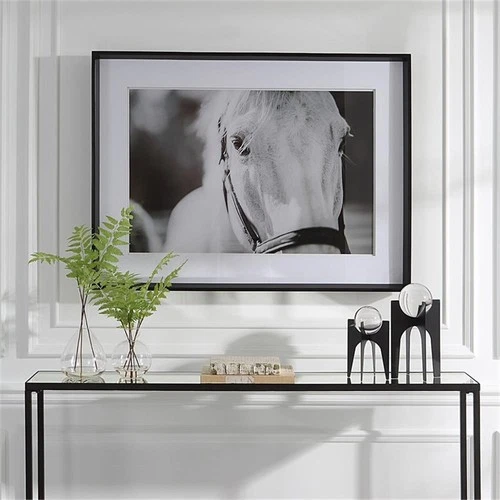 Uttermost Eyes On The Prize Wood and Glass Framed Print in Black/White - Picture 1 of 9