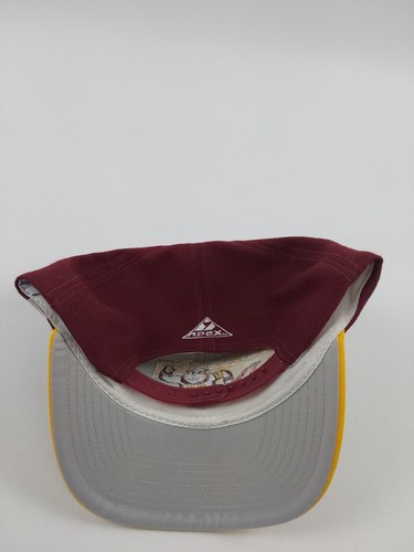 Vintage Minnesota Gophers APEX ONE Embroidered Snapback Hat - Picture 4 of 13
