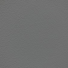 Nissan Dark Gray Leather Dye