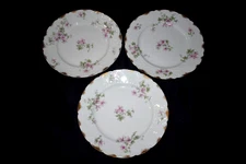Antique Charles Field Haviland GDA Limoges France Dinner Plates Set of 3