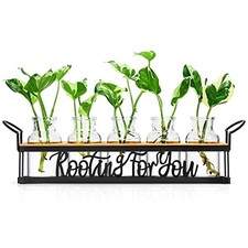 Plant Propagation Stations, for Plant Lovers Rooting for Black   5 Tray Letter