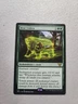 1x MTG Bear Umbra - Commander: Kamigawa: Neon Dynasty (NEC) #113 - Magic NM