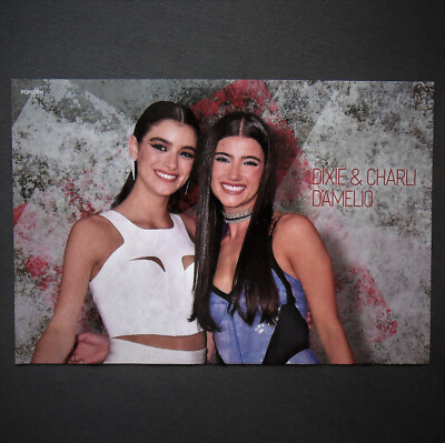 Poster D'Amelio Sisters # Dixie & Charli D'Amelio im A3 Format _