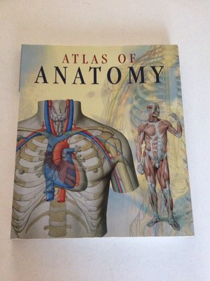 ATLAS OF ANATOMY, LAZZETTI & RIGUTTI, NEW, PAPERBACK