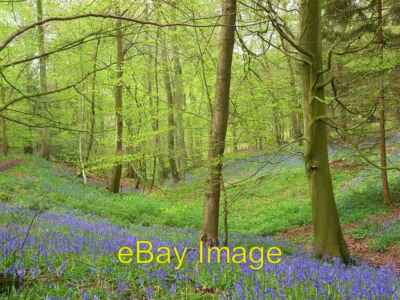 Photo 6x4 College Wood Greenfield/SU7191 At the top of the wood where th c2008