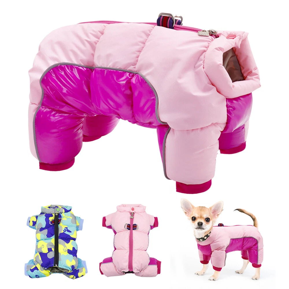 Puppy 2024 clothes girl