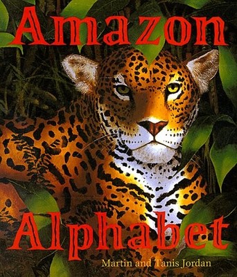 Amazon Alphabet