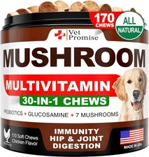 Mushroom for Dogs 170 Chews Turkey Tail Mushroom for Dogs Lions Mane Reishi