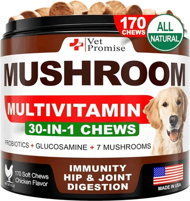 VET PROMISE Mushroom for Dogs 170 Chews Turkey Tail Mushroom for Dogs Lions Mane Reishi