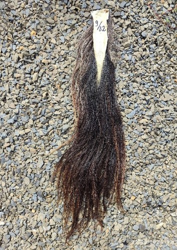 Real natural long horse equine tail. Horse Tail Black/Brown/Red Colours. - Picture 4 of 7