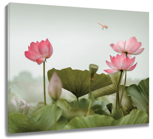 Dragonfly Plant Pink Water Lily Canvas Wall Art for Bathroom Living Room Bedroom - 第 1/23 張圖片