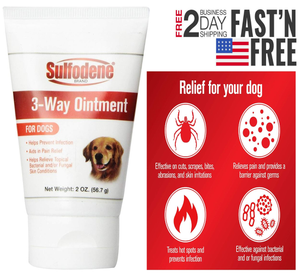 dog wound ointment