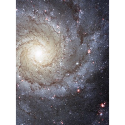 Hubble Weltraumteleskop Spiralgalaxie M74 NGC 628 Gas Sternentstehung Leinwandbild