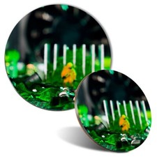 Mouse Mat & Coaster Set - Technician Motherboard IT  #3594