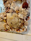 Custom “Old World” Shell Encrusted Mirror — photo 3