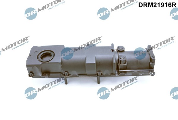 DRM21916R Dr.Motor Automotive ÖLabscheider, KurbelgehäUseentlüFtung FüR Audi,Sea-image