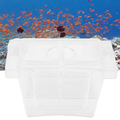 Acheter Acrylique Aquarium Fish Breeder Box Hatching Incubateur Boîte D'isolation Sm Qcs