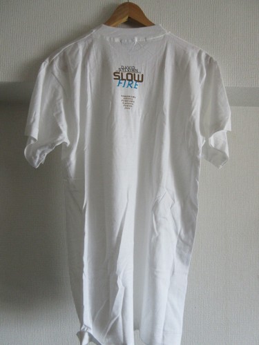 David Sylvian 1995 Slow Fire Solo Performance Japan Tour T-Shirt w Back Print - Picture 2 of 8