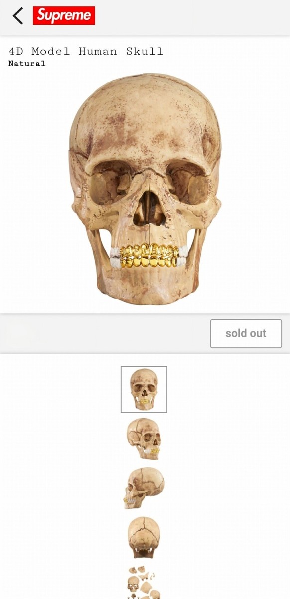 4D Supreme Human Skull With Gold Grill FW2023 Model / Puzzle NEW
