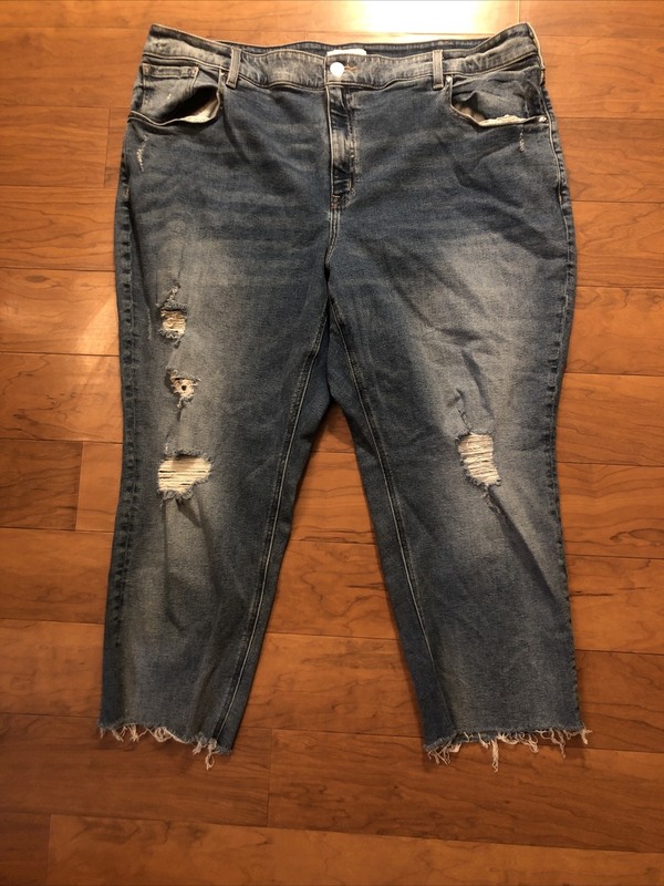 Lane Bryant Jeans Womens High Rise Straight Distressed Flex Magic Waistband 24