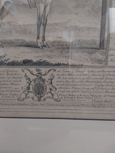 Thomas Butler 1753 Framed Starling Racing Horse Engraving Framed - Picture 4 of 10