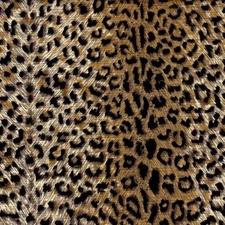 P/Kaufmann CHEETAH SANDSTONE Cotton Brown Black Spots Drapery Uph Fabric